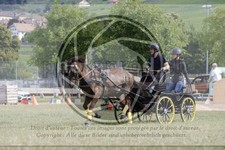 ref. photo 3706624