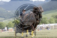 ref. photo 3706627
