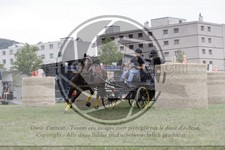 ref. photo 3706633