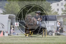 ref. photo 3706637