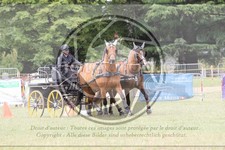 ref. photo 3706678