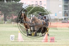 ref. photo 3706684