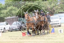 ref. photo 3706685