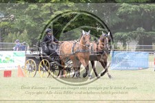 ref. photo 3706687