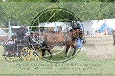 ref. photo 3706701
