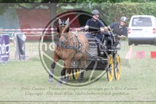 ref. photo 3706703