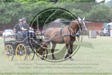 ref. photo 3706706