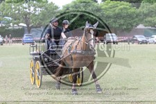 ref. photo 3706708