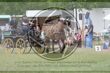ref. photo 3706712