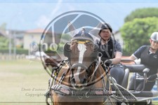 ref. photo 3706723