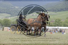 ref. photo 3706725