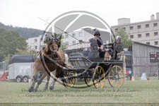 ref. photo 3706737