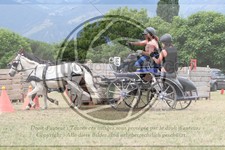ref. photo 3706793