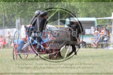 ref. photo 3706808