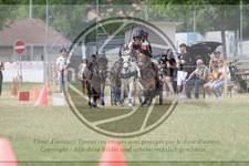 ref. photo 3706817