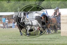 ref. photo 3706819