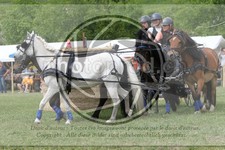 ref. photo 3706824