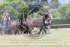 ref. photo 3706834