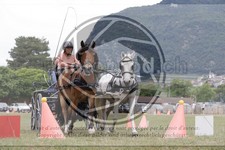 ref. photo 3706842