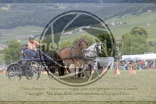 ref. photo 3706843
