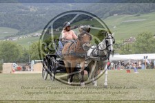 ref. photo 3706844