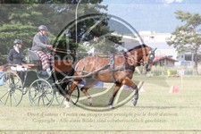 ref. photo 3706891
