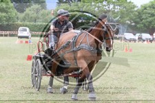 ref. photo 3706893