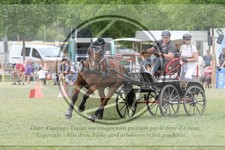 ref. photo 3706900