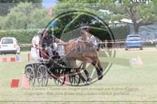 ref. photo 3706907