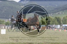 ref. photo 3706917