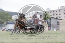 ref. photo 3706921