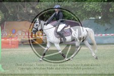 ref. photo 3706930