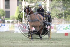 ref. photo 3706962