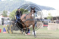ref. photo 3706964