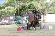 ref. photo 3706966