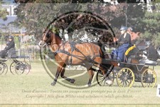 ref. photo 3706971