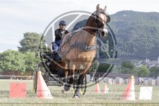 ref. photo 3706996