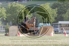 ref. photo 3706998