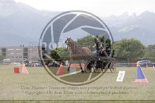 ref. photo 3707001