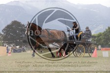 ref. photo 3707002