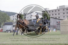 ref. photo 3707004