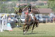 ref. photo 3707018