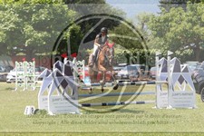 ref. photo 3707023