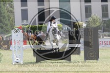 ref. photo 3707030