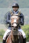 ref. photo 3707079