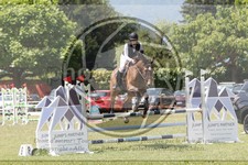 ref. photo 3707106