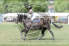ref. photo 3707110