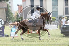 ref. photo 3707161