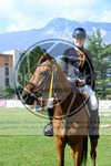 ref. photo 3707195