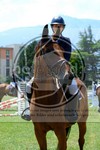 ref. photo 3707211